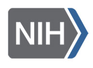 NIH Exploratory/Developmental Research Grant Award (R21)